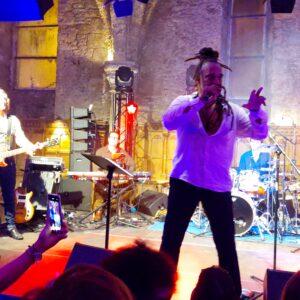 Concert de Roddy Julienne avec des musiciens sur scène, éclairage coloré et public filmant l'événement.
