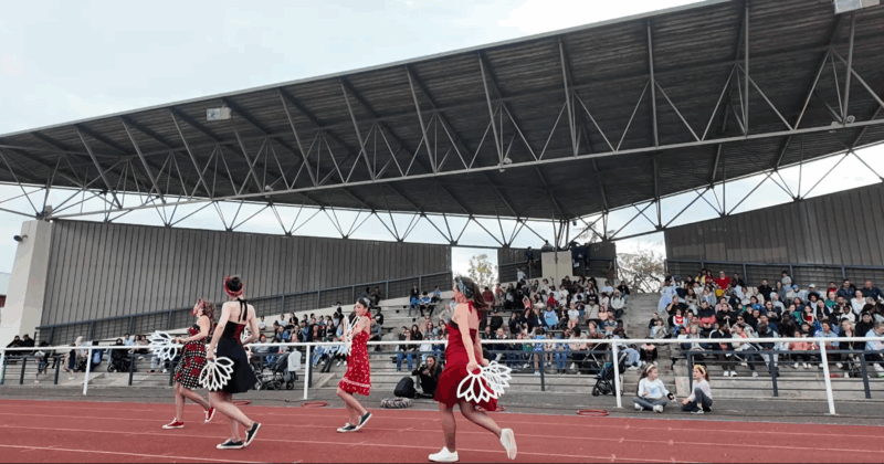 Des danseurs en costumes colorés exécutent une performance devant un public enthousiaste dans un stade.