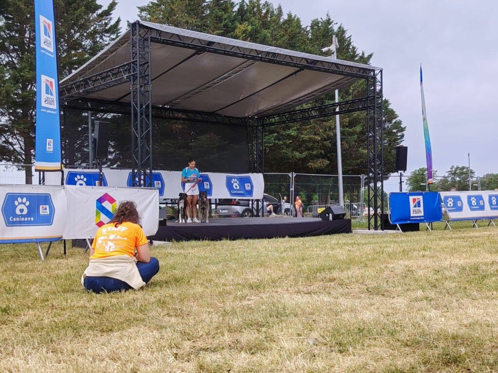 Scène en plein air avec un animateur et des chiens, installation de matériel audio et éclairage pour un événement canin.